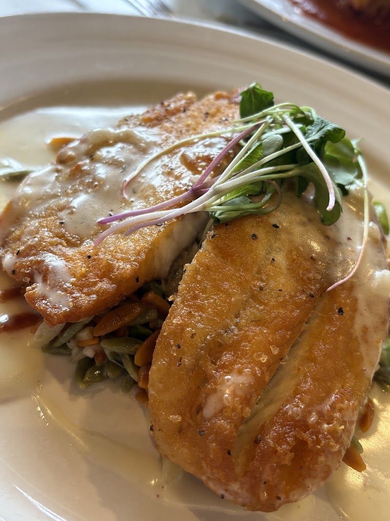 Shells and Sauce - photo 4