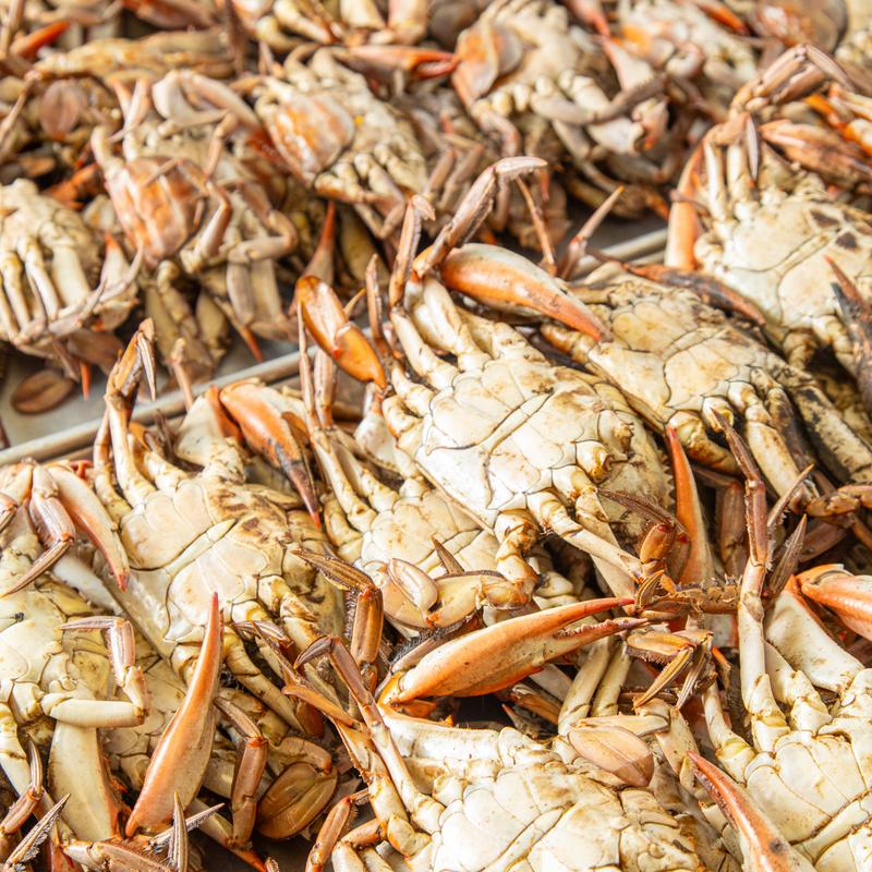 Mandeville Seafood Market & Eatery - photo 4