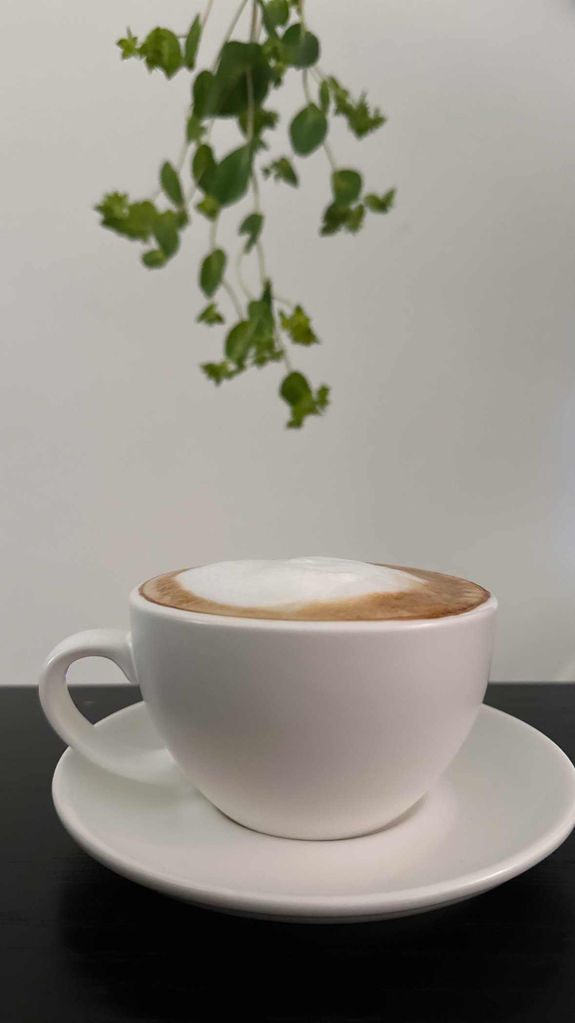 Espresso Essence - photo 2