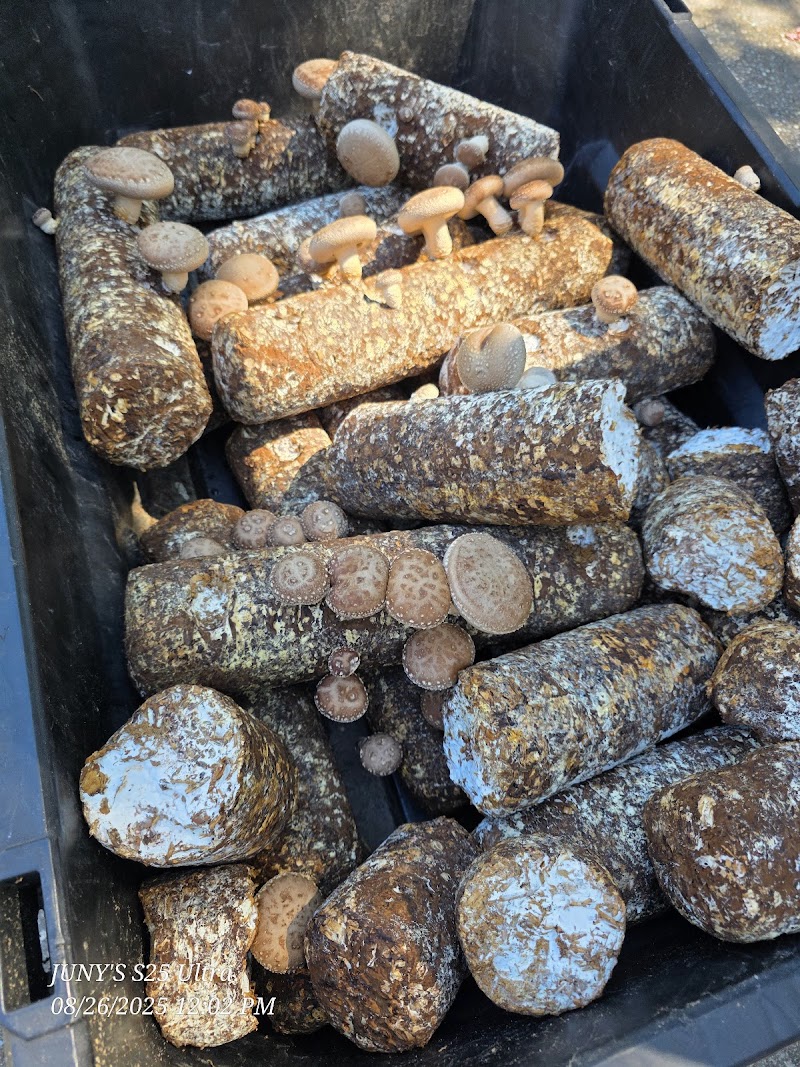 Wild Events by Chef Ryan Carroll - Catering in Mattituck, New York