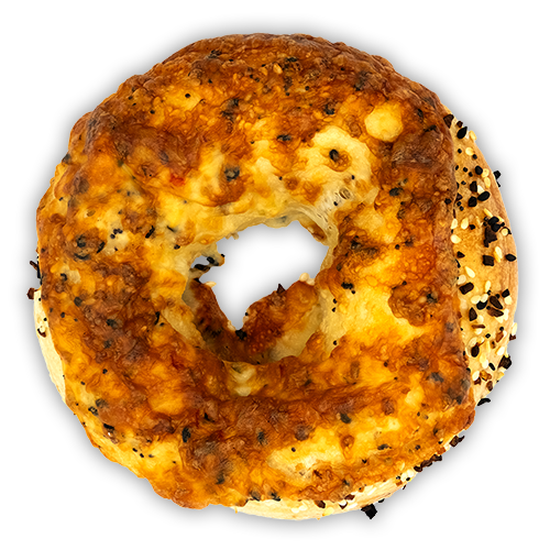 Jeff's Bagel Run - photo 2
