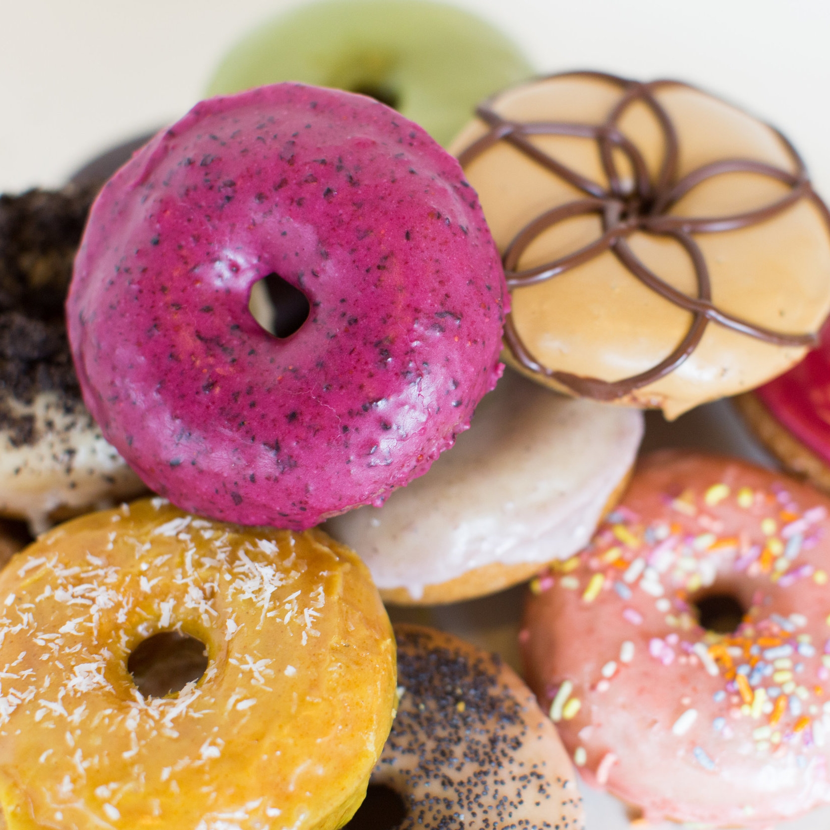 Rainbow Bakery - Catering in Bloomington, Indiana