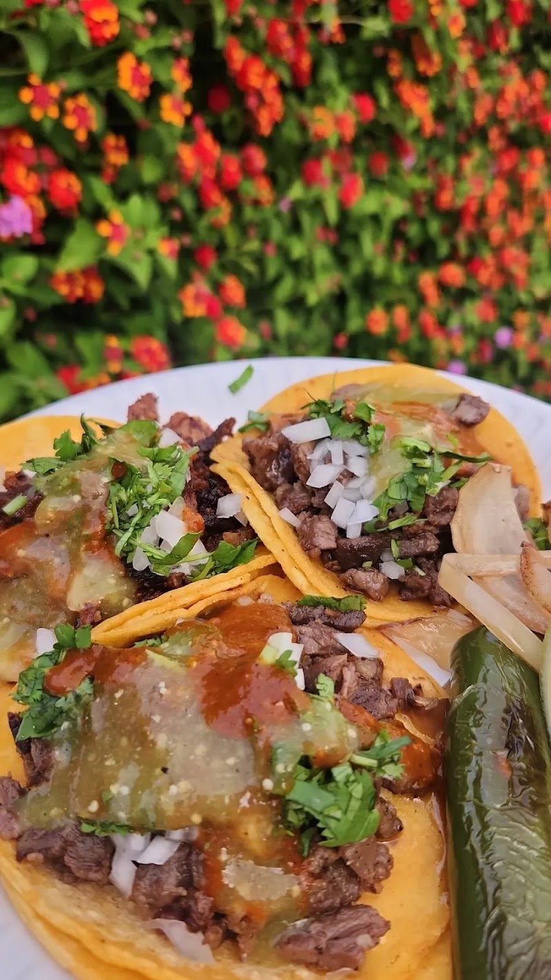 Taco Street Catering LLC - photo 3