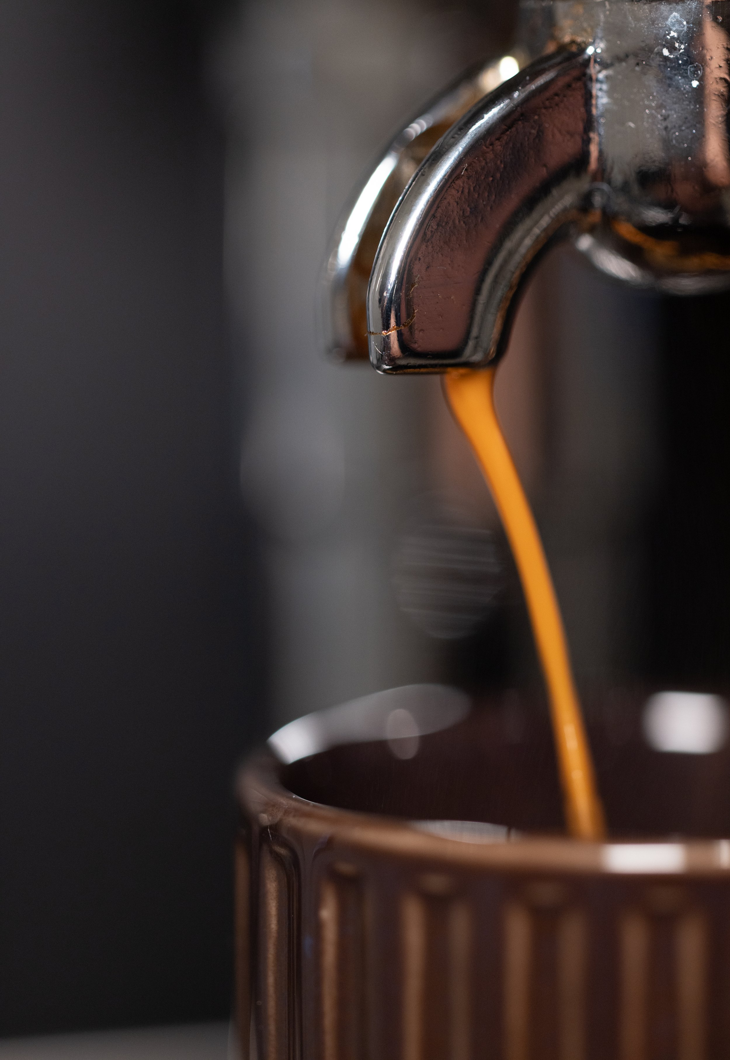 Izote Coffee Roasters - photo 2