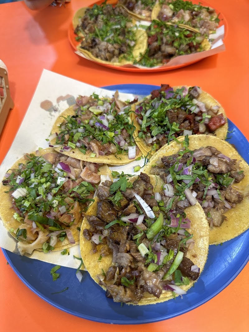 azteca catering services - photo 5